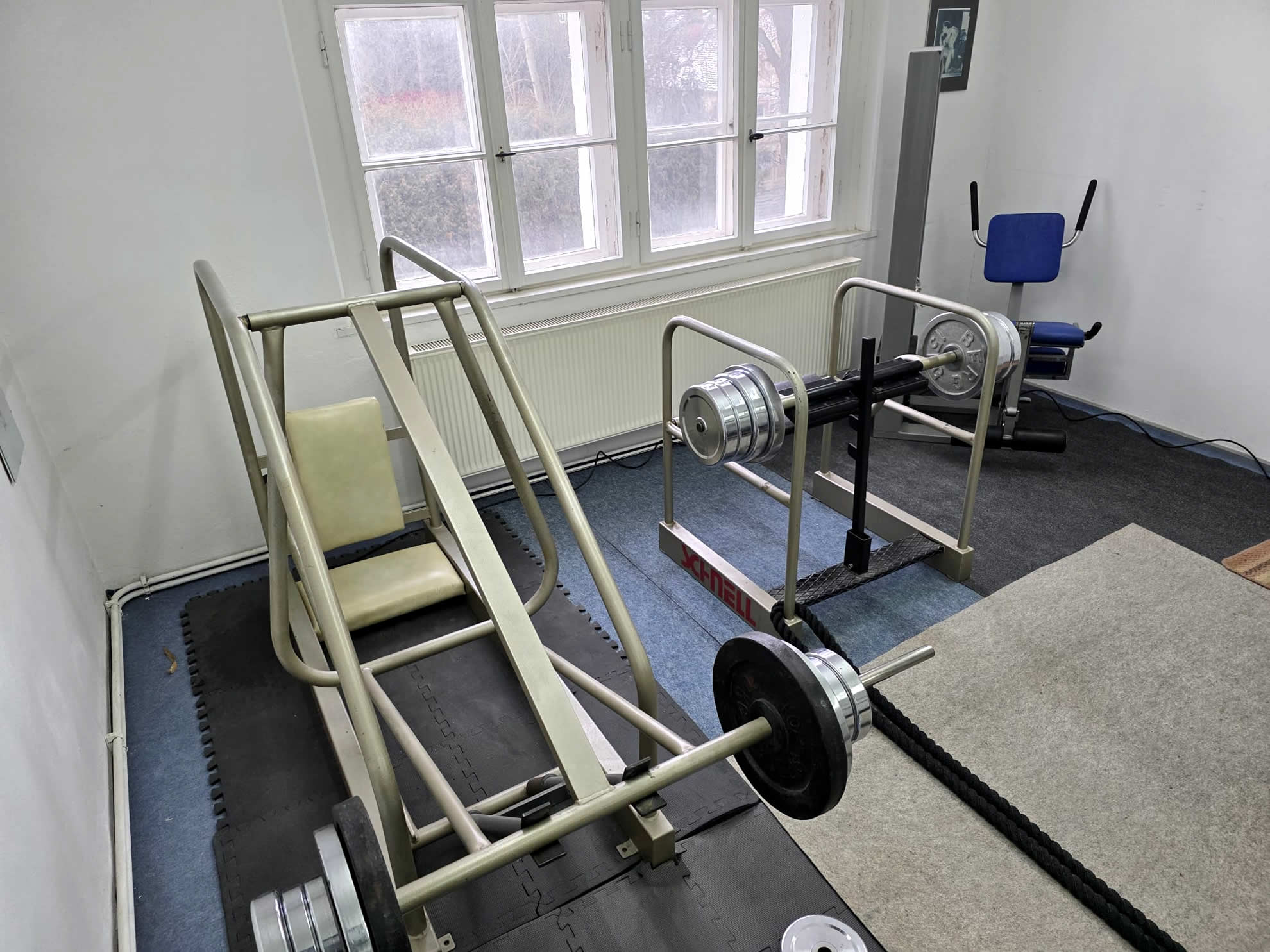 Sg Victoria 03 – Einblick ins Vereinsleben der SG Victoria Seifhennersdorf e.V. (Bild 3)